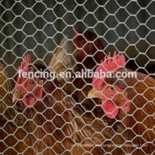 red de alambre hexagonal de red de aves de corral